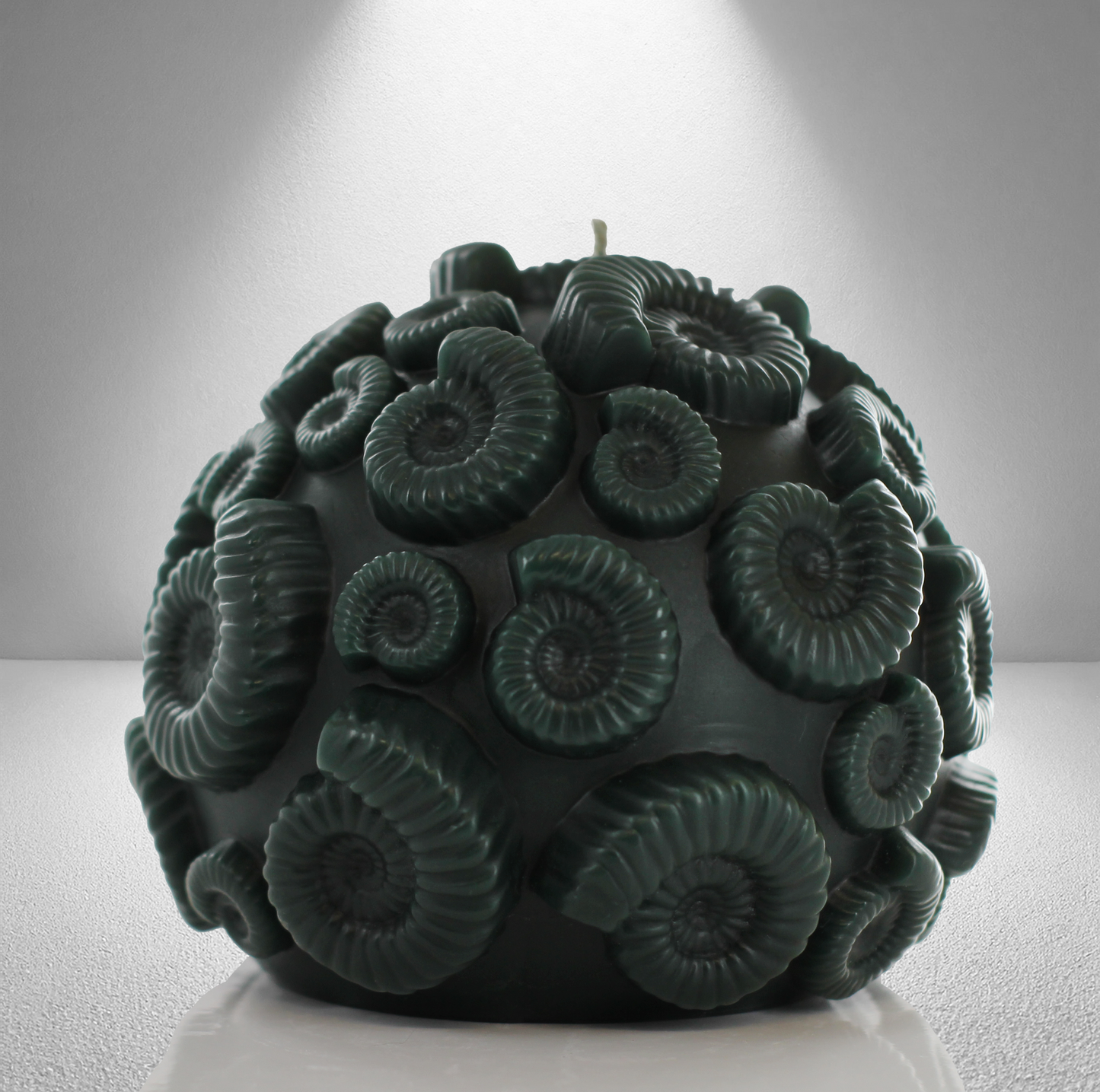 'Ammonite' Candle- Xanadu Grey