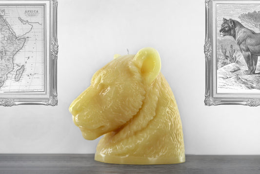 Large golden coloured lioness bust shaped candle titled 'Africa'. Handmade by Wonders in Wax in Poole, England.