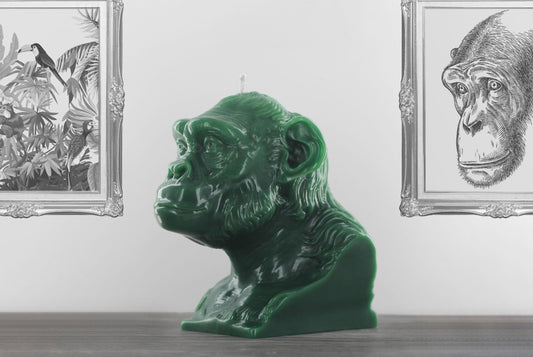 Large tropical green coloured chimpanzee bust shaped candle titled 'Akira'. Handmade by Wonders in Wax in Poole, England.