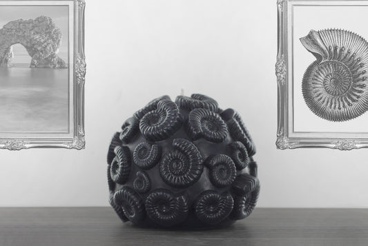 Large grey colour ammonite fossil shaped candle titled 'Ammonite', Handmade by Wonders in Wax in Poole, England.