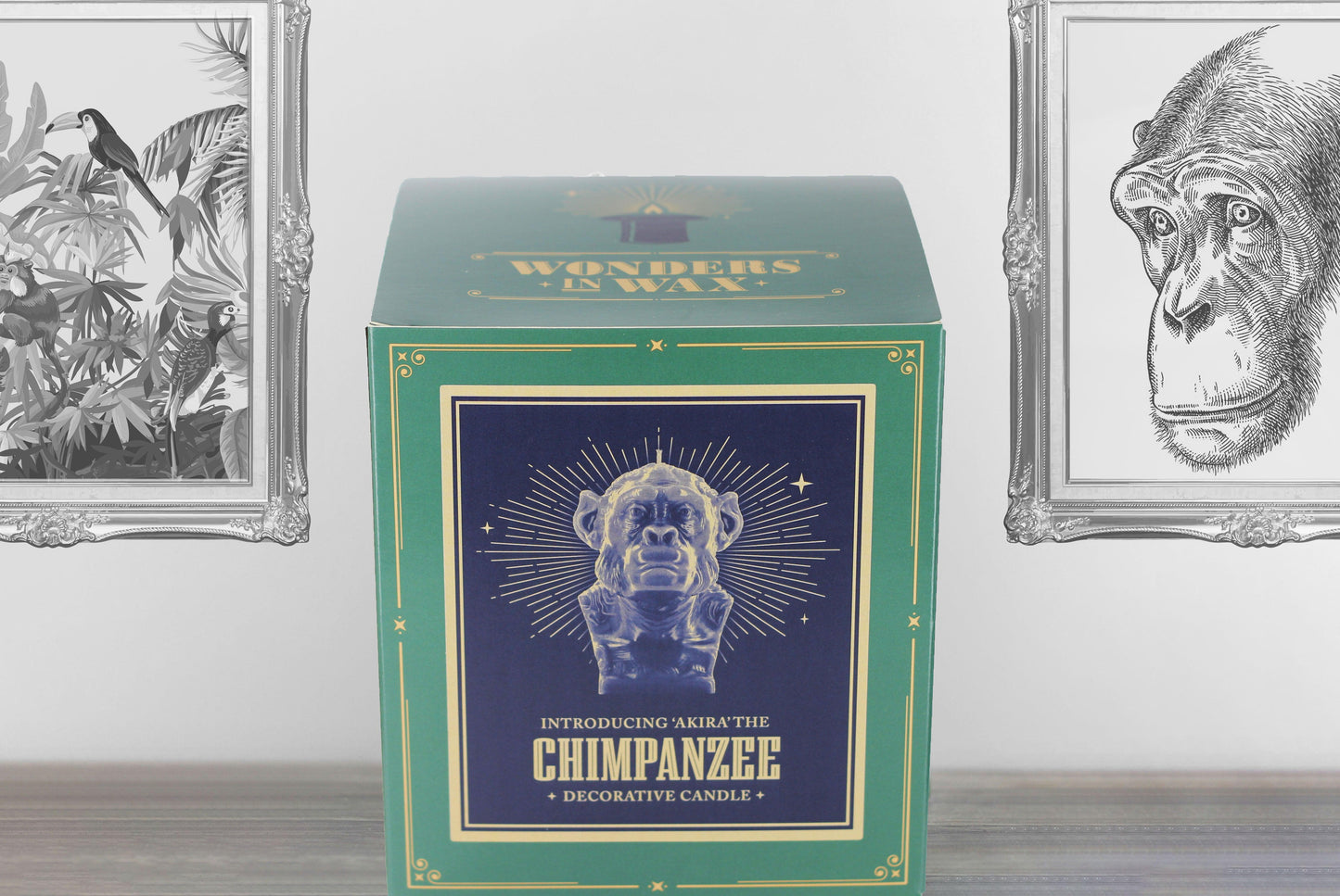 Retail Box Packaging for Large 3D Chimpanzee Bust Candle in Tropical Green Colour, Handmade by Wonders in Wax in Poole, England.
