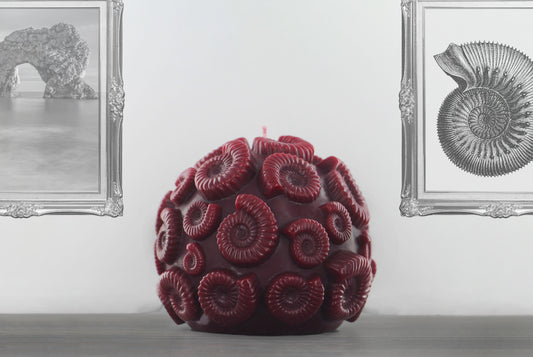'Ammonite’ Candle- Crimson Red - wondersinwax